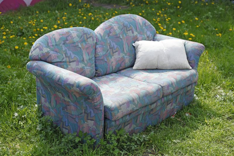 Sofa Bed Removal in Sacramento, CA